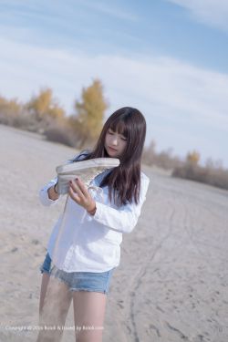 浪蝶狂花